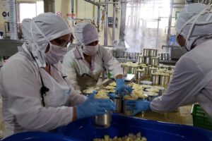 Decreto 5503 y su impacto en el sector agropecuario de Cochabamba