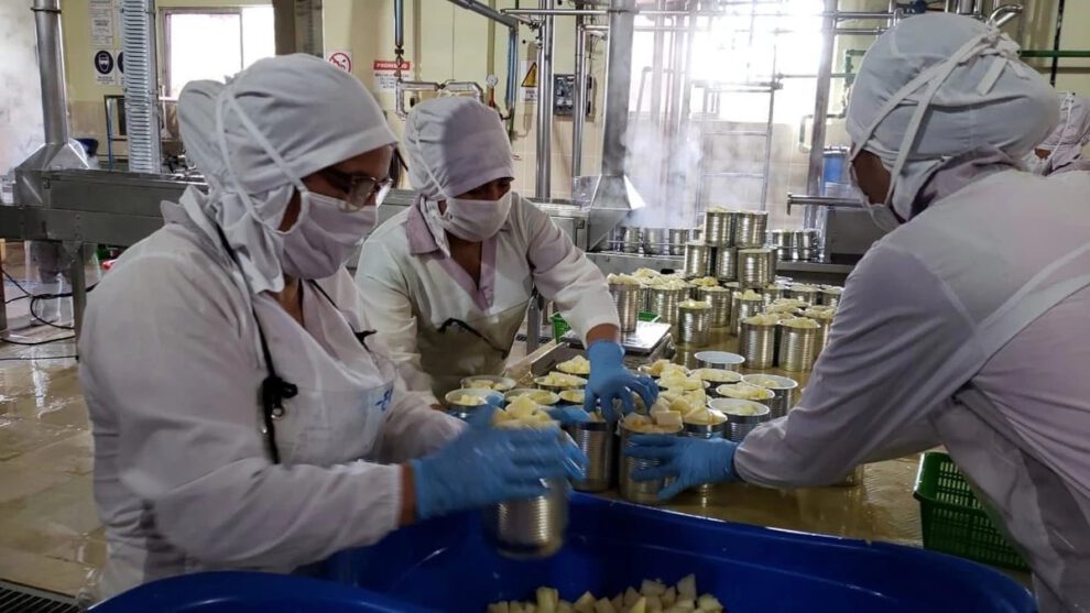 Decreto 5503 y su impacto en el sector agropecuario de Cochabamba