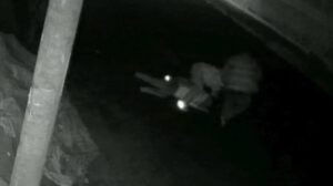 Prisión preventiva por agresión en Tarija