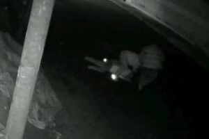 Prisión preventiva por agresión en Tarija