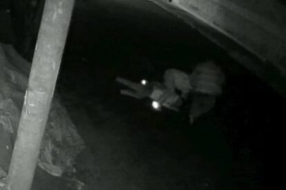 Prisión preventiva por agresión en Tarija