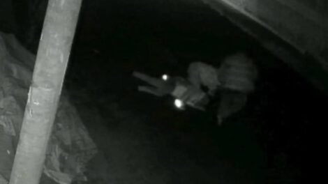 Prisión preventiva por agresión en Tarija