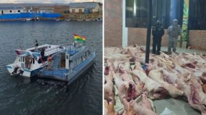 Armada Boliviana intercepta cerdos de contrabando en el lago Titicaca