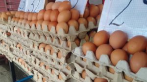Exportaciones de huevo boliviano