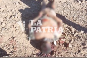 Hallazgo de cadáveres en Challapata con signos de tortura