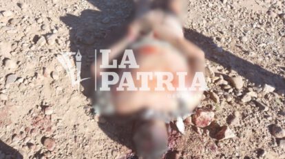 Hallazgo de cadáveres en Challapata con signos de tortura