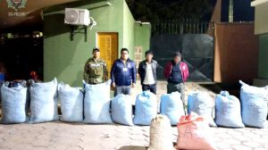 Detienen a dos personas en Chuquisaca por transportar marihuana