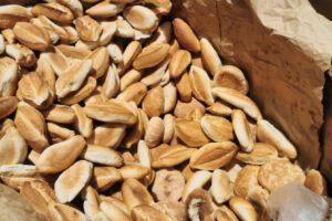 Proponen incrementar esta semana el precio del pan