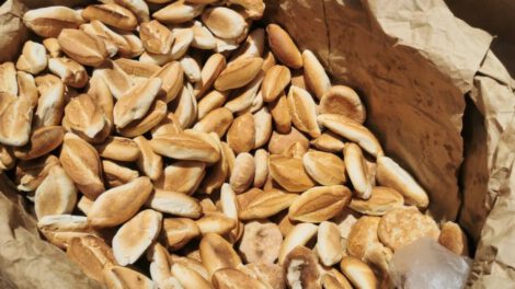 Proponen incrementar esta semana el precio del pan