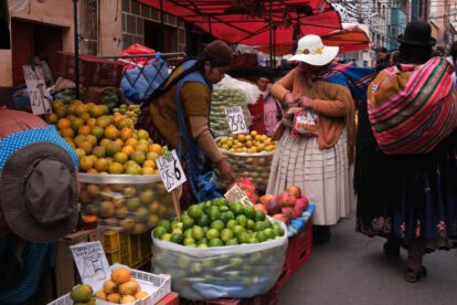 Agenda de crecimiento e inversión de Bolivia en el foro de la CAF