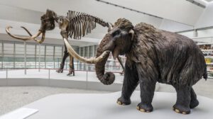 Dinosaurios grandes y mamuts
