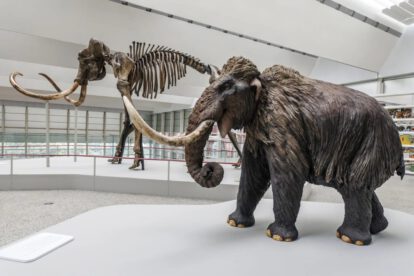 Dinosaurios grandes y mamuts