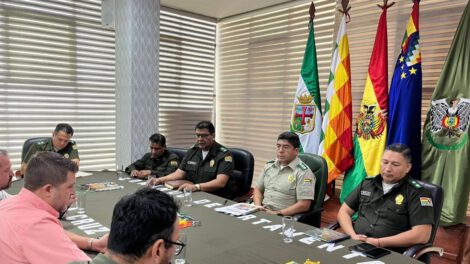 Tala y desmonte ilegal en Santa Cruz