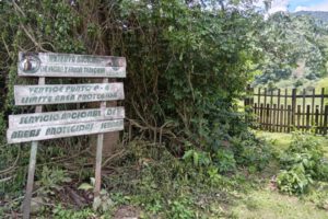 Paralización de perforación exploratoria en Domo Oso X3