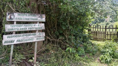 Paralización de perforación exploratoria en Domo Oso X3