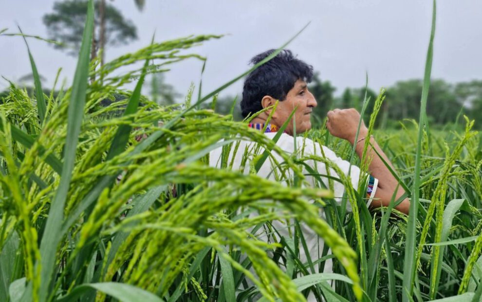 Evo Morales permanece en el país