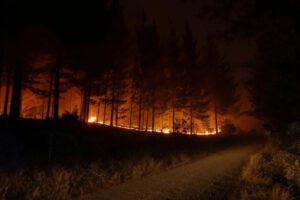 incendios forestales en Chile