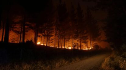 incendios forestales en Chile