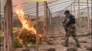 Operativo antidroga en Potosí