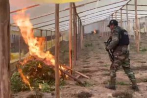 Operativo antidroga en Potosí