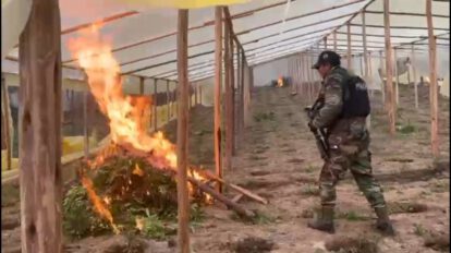 Operativo antidroga en Potosí