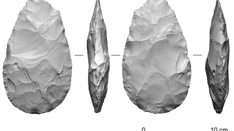 herramienta de hueso de elefante más antigua en Europa
