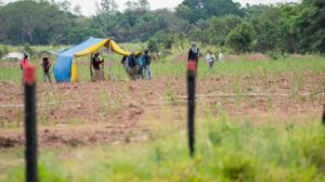 avasallamientos de tierras en Santa Cruz