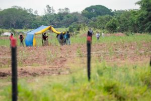 avasallamientos de tierras en Santa Cruz