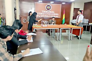 Comicios subnacionales en el Tribunal Constitucional Plurinacional