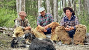 Modelo de conservación en Palena para proteger su biodiversidad