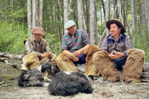 Modelo de conservación en Palena para proteger su biodiversidad