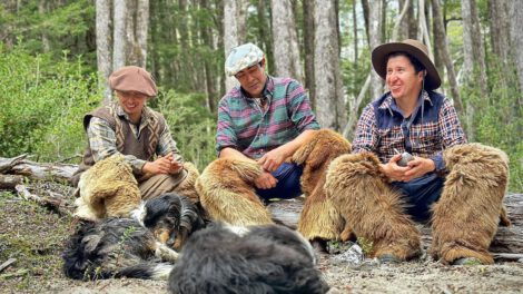 Modelo de conservación en Palena para proteger su biodiversidad
