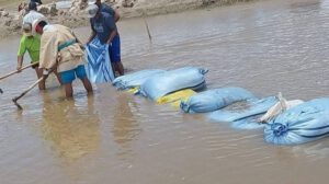 Inundaciones en Chipaya afectan cultivos y viviendas