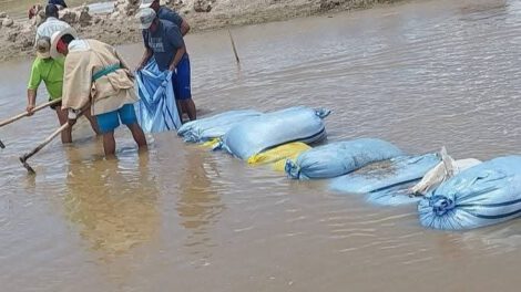 Inundaciones en Chipaya afectan cultivos y viviendas
