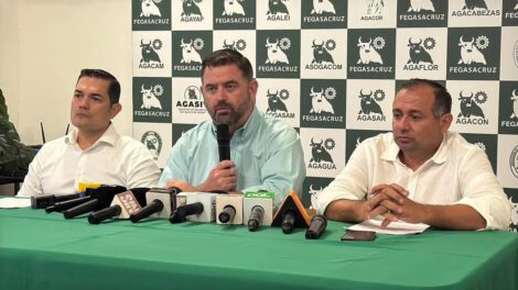 Saneamiento de tierras en el sector agropecuario