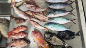 Contaminación por microplásticos en Fiyi