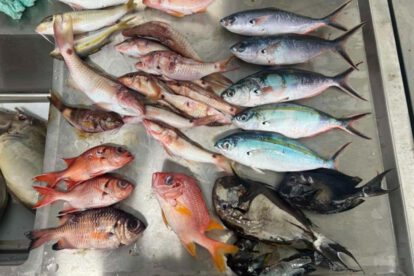 Contaminación por microplásticos en Fiyi