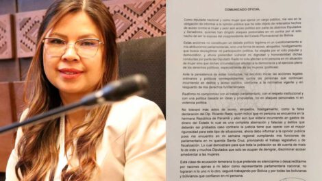 Acoso político en el anuncio de la diputada Diana Romero