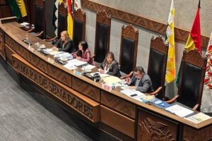 Ley de tarifas aéreas aprobada por la Cámara de Senadores