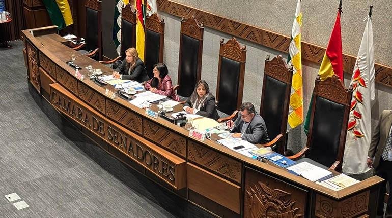 Ley de tarifas aéreas aprobada por la Cámara de Senadores