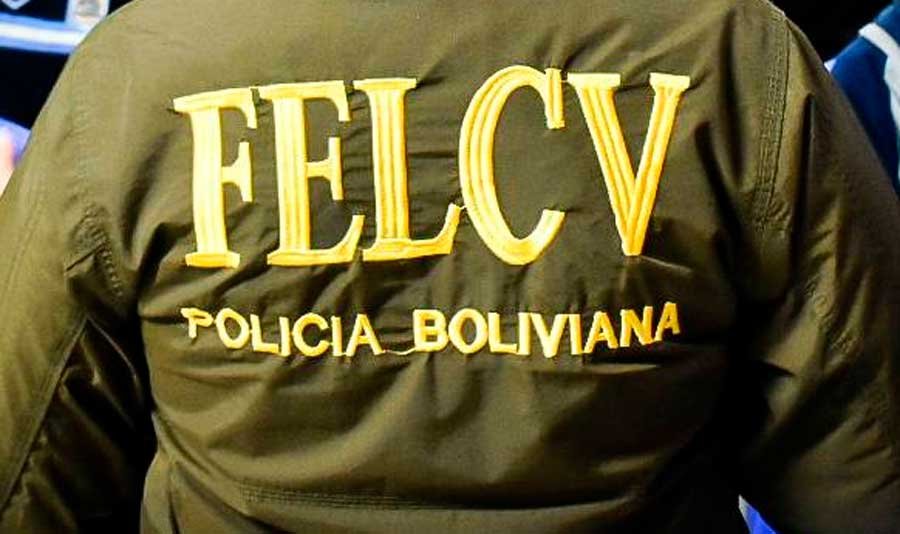 Feminicidios en Bolivia reportados por la FELCV