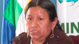 Investigaciones contra Nemesia Achacollo