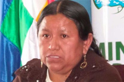 Investigaciones contra Nemesia Achacollo