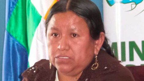 Investigaciones contra Nemesia Achacollo