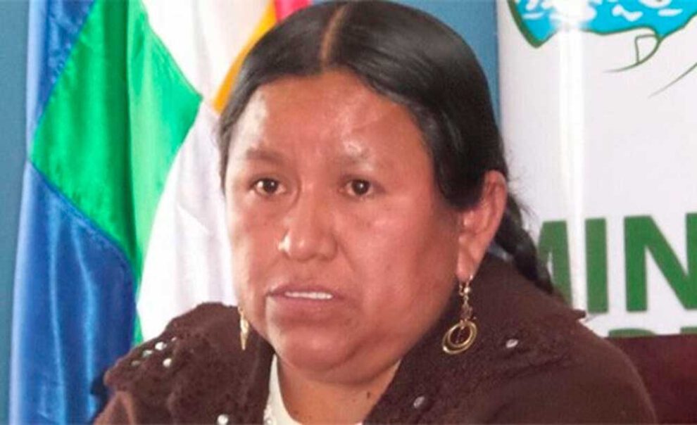 Investigaciones contra Nemesia Achacollo