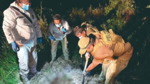 Detalles sobre el asesinato de brasileño en Urubó