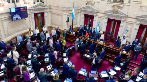 personas participando durante una sesión en el Senado de Argentina en Buenos Aires (Argentina).
