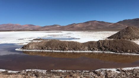 el salar de Maricunga