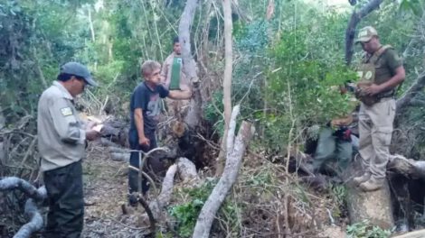 Tala Ilegal, Santa Cruz