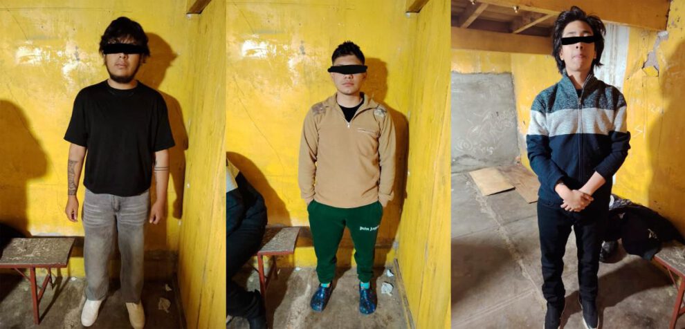 Aprehendidas, Graderías